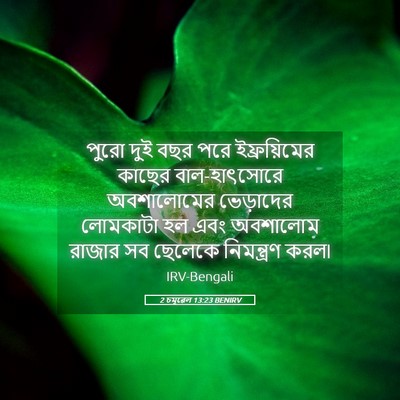 Picture 05 - 2 চমূৱেল 13:23 BENIRV - পুরো দুই বছর পরে - Bible Verse Picture