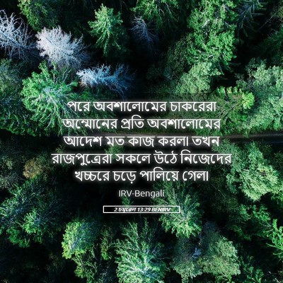 Picture 05 - 2 চমূৱেল 13:29 BENIRV - পরে অবশালোমের - Bible Verse Picture