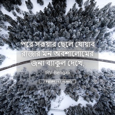 Picture 05 - 2 চমূৱেল 14:1 BENIRV - পরে সরূয়ার ছেলে - Bible Verse Picture