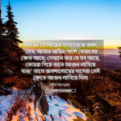 Picture 05 - 2 চমূৱেল 14:30 BENIRV - অতএব সে নিজের - Bible Verse Picture