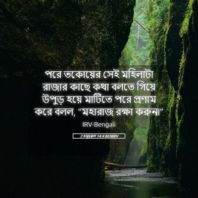 Picture 05 - 2 চমূৱেল 14:4 BENIRV - পরে তকোয়ের সেই - Bible Verse Picture