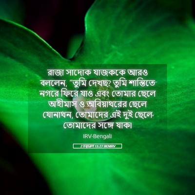 Picture 05 - 2 চমূৱেল 15:27 BENIRV - রাজা সাদোক যাজককে - Bible Verse Picture