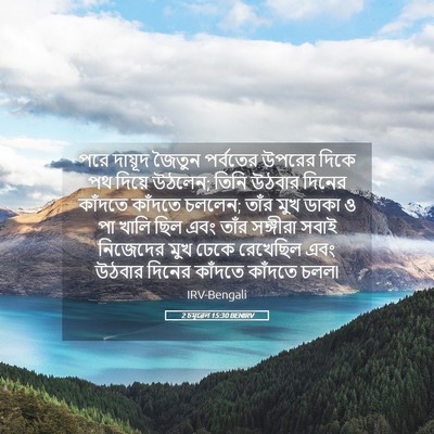 Picture 05 - 2 চমূৱেল 15:30 BENIRV - পরে দায়ূদ জৈতুন - Bible Verse Picture
