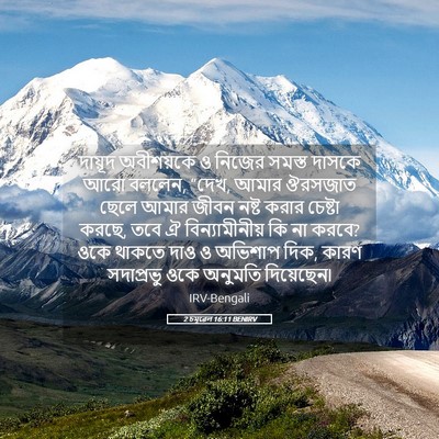 Picture 05 - 2 চমূৱেল 16:11 BENIRV - দায়ূদ অবীশয়কে ও - Bible Verse Picture