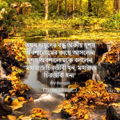 Picture 05 - 2 চমূৱেল 16:16 BENIRV - তখন দায়ূদের - Bible Verse Picture