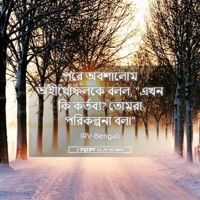 Picture 05 - 2 চমূৱেল 16:20 BENIRV - পরে অবশালোম - Bible Verse Picture