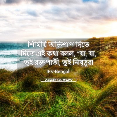 Picture 05 - 2 চমূৱেল 16:7 BENIRV - শিমিয়ি অভিশাপ - Bible Verse Picture