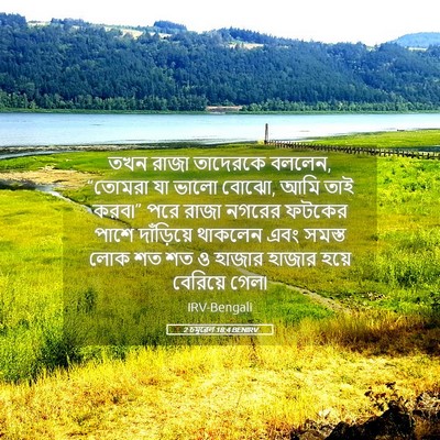 Picture 05 - 2 চমূৱেল 18:4 BENIRV - তখন রাজা তাদেরকে - Bible Verse Picture