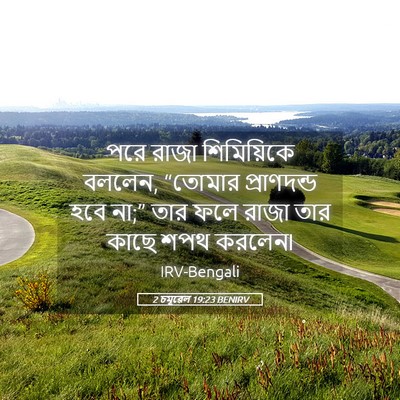 Picture 05 - 2 চমূৱেল 19:23 BENIRV - পরে রাজা - Bible Verse Picture