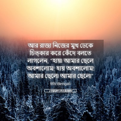 Picture 05 - 2 চমূৱেল 19:4 BENIRV - আর রাজা নিজের মুখ - Bible Verse Picture