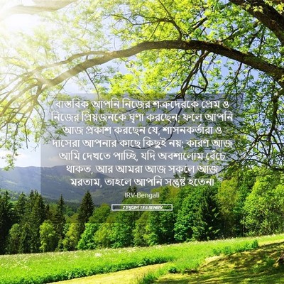 Picture 05 - 2 চমূৱেল 19:6 BENIRV - বাস্তবিক আপনি - Bible Verse Picture