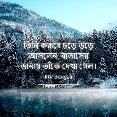Picture 05 - 2 চমূৱেল 22:11 BENIRV - তিনি করূবে চড়ে - Bible Verse Picture