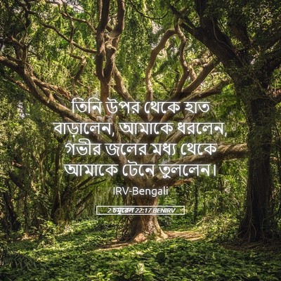 Picture 05 - 2 চমূৱেল 22:17 BENIRV - তিনি উপর থেকে হাত - Bible Verse Picture