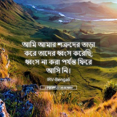 Picture 05 - 2 চমূৱেল 22:38 BENIRV - আমি আমার শত্রুদের - Bible Verse Picture