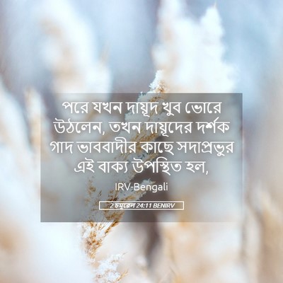 Picture 05 - 2 চমূৱেল 24:11 BENIRV - পরে যখন দায়ূদ খুব - Bible Verse Picture