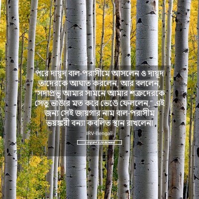 Picture 05 - 2 চমূৱেল 5:20 BENIRV - পরে দায়ূদ - Bible Verse Picture