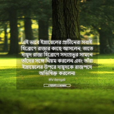 Picture 05 - 2 চমূৱেল 5:3 BENIRV - এই ভাবে - Bible Verse Picture