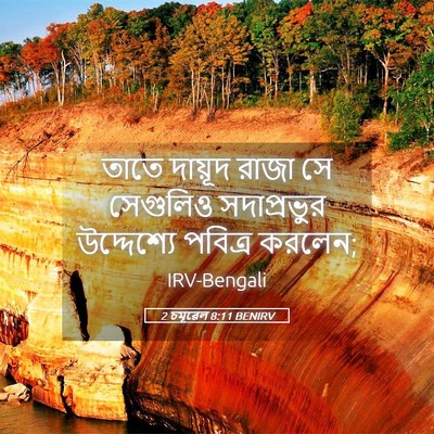 Picture 05 - 2 চমূৱেল 8:11 BENIRV - তাতে দায়ূদ রাজা - Bible Verse Picture