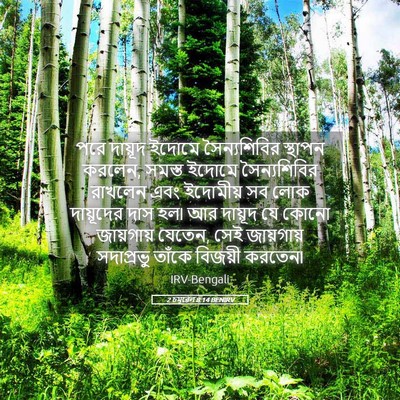 Picture 05 - 2 চমূৱেল 8:14 BENIRV - পরে দায়ূদ ইদোমে - Bible Verse Picture