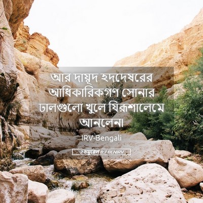 Picture 05 - 2 চমূৱেল 8:7 BENIRV - আর দায়ূদ - Bible Verse Picture