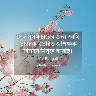 Picture 05 - 2 তীমথিয় 1:11 BENIRV - সেই সুসমাচারের - Bible Verse Picture