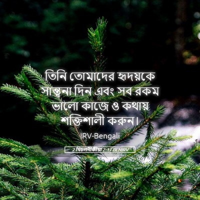 Picture 05 - 2 থিচলনীকীয়া 2:17 BENIRV - তিনি তোমাদের - Bible Verse Picture