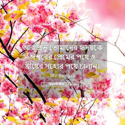 Picture 05 - 2 থিচলনীকীয়া 3:5 BENIRV - আর প্রভু তোমাদের - Bible Verse Picture