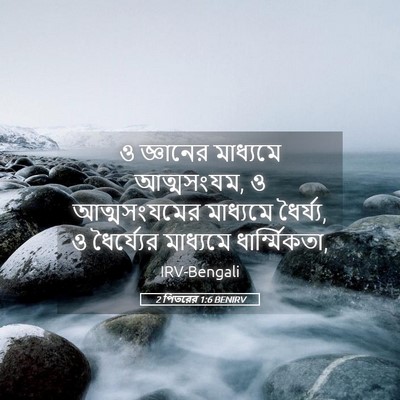 Picture 05 - 2 পিতরের 1:6 BENIRV - ও জ্ঞানের মাধ্যমে - Bible Verse Picture