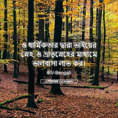 Picture 05 - 2 পিতরের 1:7 BENIRV - ও ধার্মিকতার - Bible Verse Picture