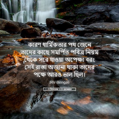Picture 05 - 2 পিতরের 2:21 BENIRV - কারণ ধার্মিকতার - Bible Verse Picture