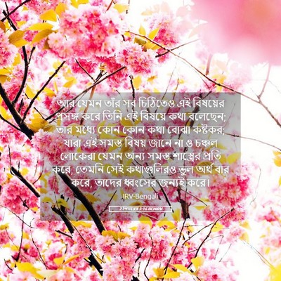 Picture 05 - 2 পিতরের 3:16 BENIRV - আর যেমন তাঁর সব - Bible Verse Picture