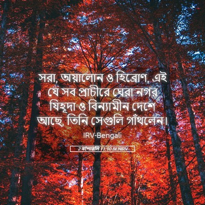 Picture 05 - 2 বংশাৱলি 11:10 BENIRV - সরা, অয়ালোন ও - Bible Verse Picture