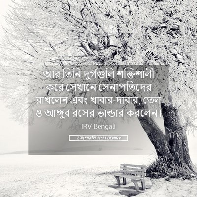 Picture 05 - 2 বংশাৱলি 11:11 BENIRV - আর তিনি দুর্গগুলি - Bible Verse Picture