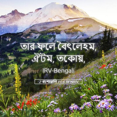 Picture 05 - 2 বংশাৱলি 11:6 BENIRV - তার ফলে বৈৎলেহম, - Bible Verse Picture