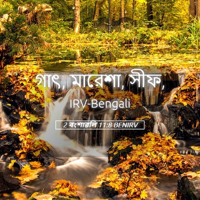 Picture 05 - 2 বংশাৱলি 11:8 BENIRV - গাৎ, মারেশা, - Bible Verse Picture