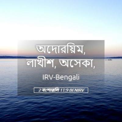 Picture 05 - 2 বংশাৱলি 11:9 BENIRV - অদোরয়িম, লাখীশ, - Bible Verse Picture