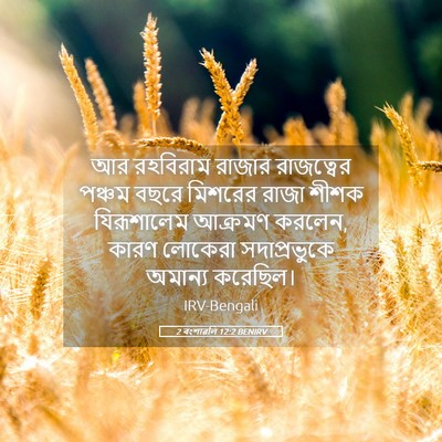 Picture 05 - 2 বংশাৱলি 12:2 BENIRV - আর রহবিরাম রাজার - Bible Verse Picture