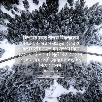 Picture 05 - 2 বংশাৱলি 12:9 BENIRV - মিশরের রাজা শীশক - Bible Verse Picture