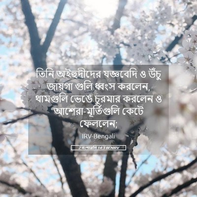 Picture 05 - 2 বংশাৱলি 14:3 BENIRV - তিনি অইহুদীদের - Bible Verse Picture