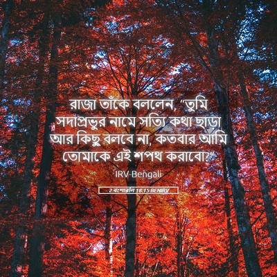 Picture 05 - 2 বংশাৱলি 18:15 BENIRV - রাজা তাঁকে বললেন, - Bible Verse Picture