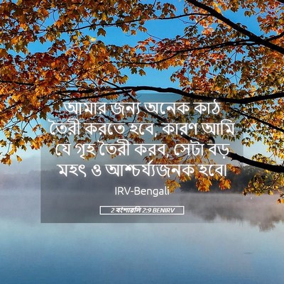 Picture 05 - 2 বংশাৱলি 2:9 BENIRV - আমার জন্য অনেক কাঠ - Bible Verse Picture