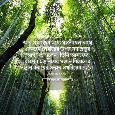 Picture 05 - 2 বংশাৱলি 20:14 BENIRV - আর সমাজের মধ্যে - Bible Verse Picture