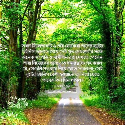 Picture 05 - 2 বংশাৱলি 20:25 BENIRV - তখন যিহোশাফট ও - Bible Verse Picture