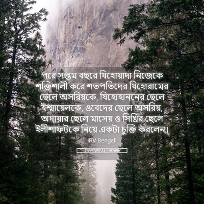 Picture 05 - 2 বংশাৱলি 23:1 BENIRV - পরে সপ্তম বছরে - Bible Verse Picture
