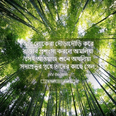 Picture 05 - 2 বংশাৱলি 23:12 BENIRV - আর লোকেরা - Bible Verse Picture