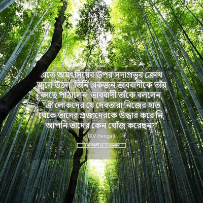 Picture 05 - 2 বংশাৱলি 25:15 BENIRV - এতে অমৎসিয়ের উপর - Bible Verse Picture
