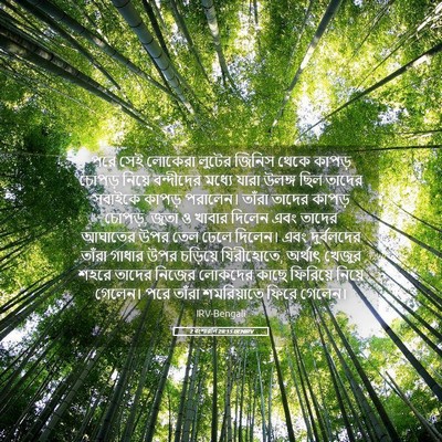 Picture 05 - 2 বংশাৱলি 28:15 BENIRV - পরে সেই লোকেরা - Bible Verse Picture