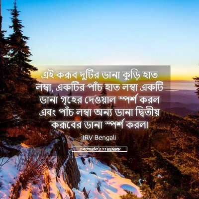 Picture 05 - 2 বংশাৱলি 3:11 BENIRV - এই করূব দুটির ডানা - Bible Verse Picture