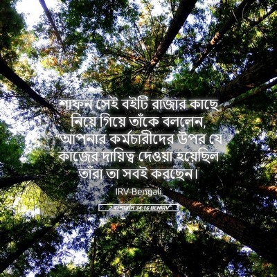Picture 05 - 2 বংশাৱলি 34:16 BENIRV - শাফন সেই বইটি - Bible Verse Picture