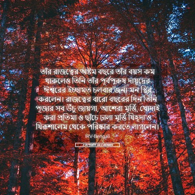 Picture 05 - 2 বংশাৱলি 34:3 BENIRV - তাঁর রাজত্বের - Bible Verse Picture